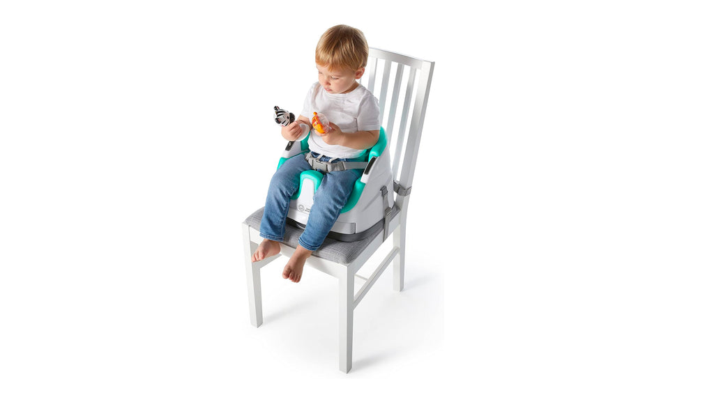 Baby Einstein - Dine & Discover™ Multi-Use Booster Seat - SecondGear.me